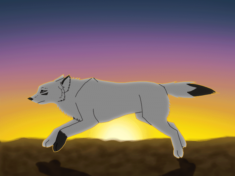 Running wolf - animation test by KanahaniART on DeviantArt